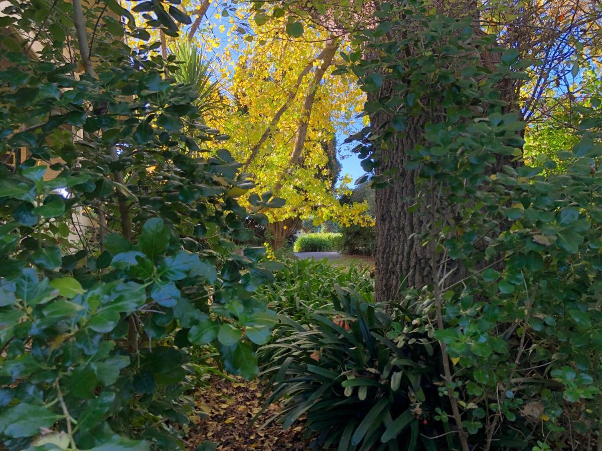 Lorelei Bed & Breakfast Portland Exterior foto
